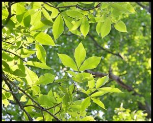 これからのお墓の主流となるのは納骨堂