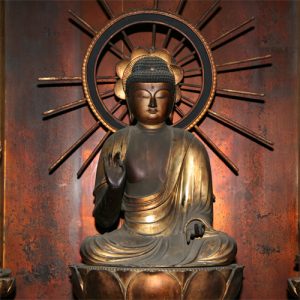 お墓の引っ越しが増えている理由